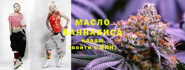 гашик Заводоуковск